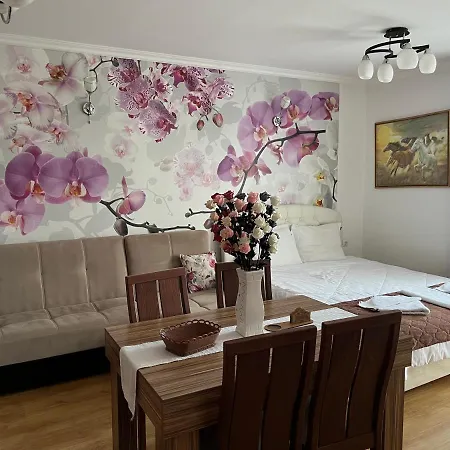 Sweet Homes 5 - For Guests *